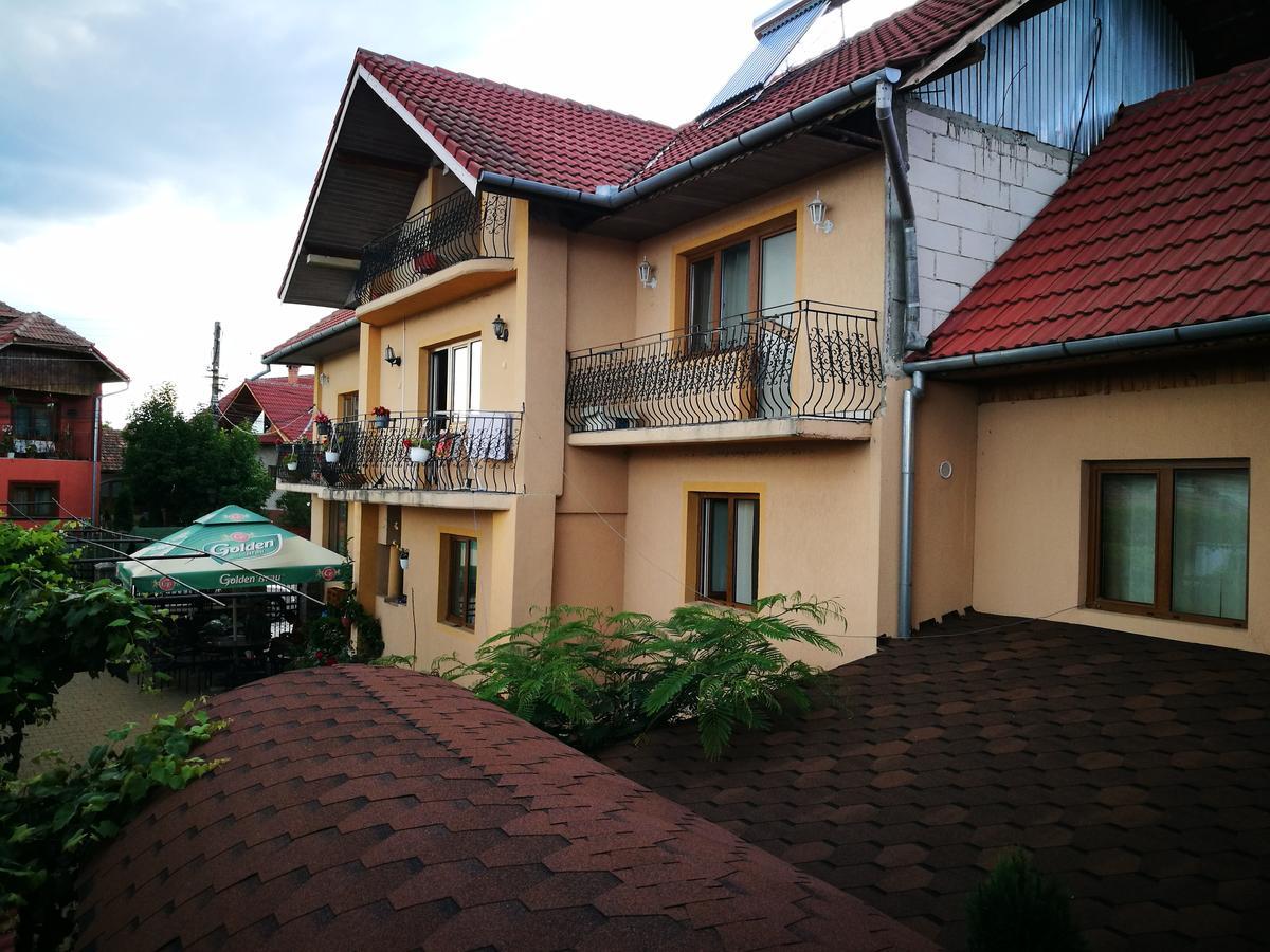 Pensiunea Remus Hotel Novaci-Străini Eksteriør billede