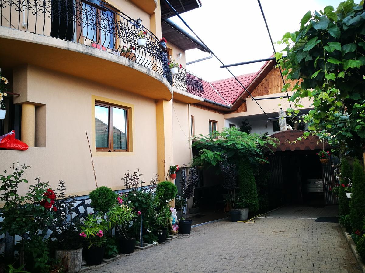 Pensiunea Remus Hotel Novaci-Străini Eksteriør billede