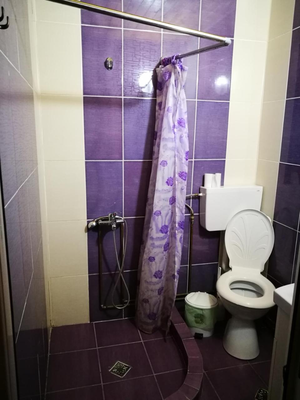 Pensiunea Remus Hotel Novaci-Străini Eksteriør billede