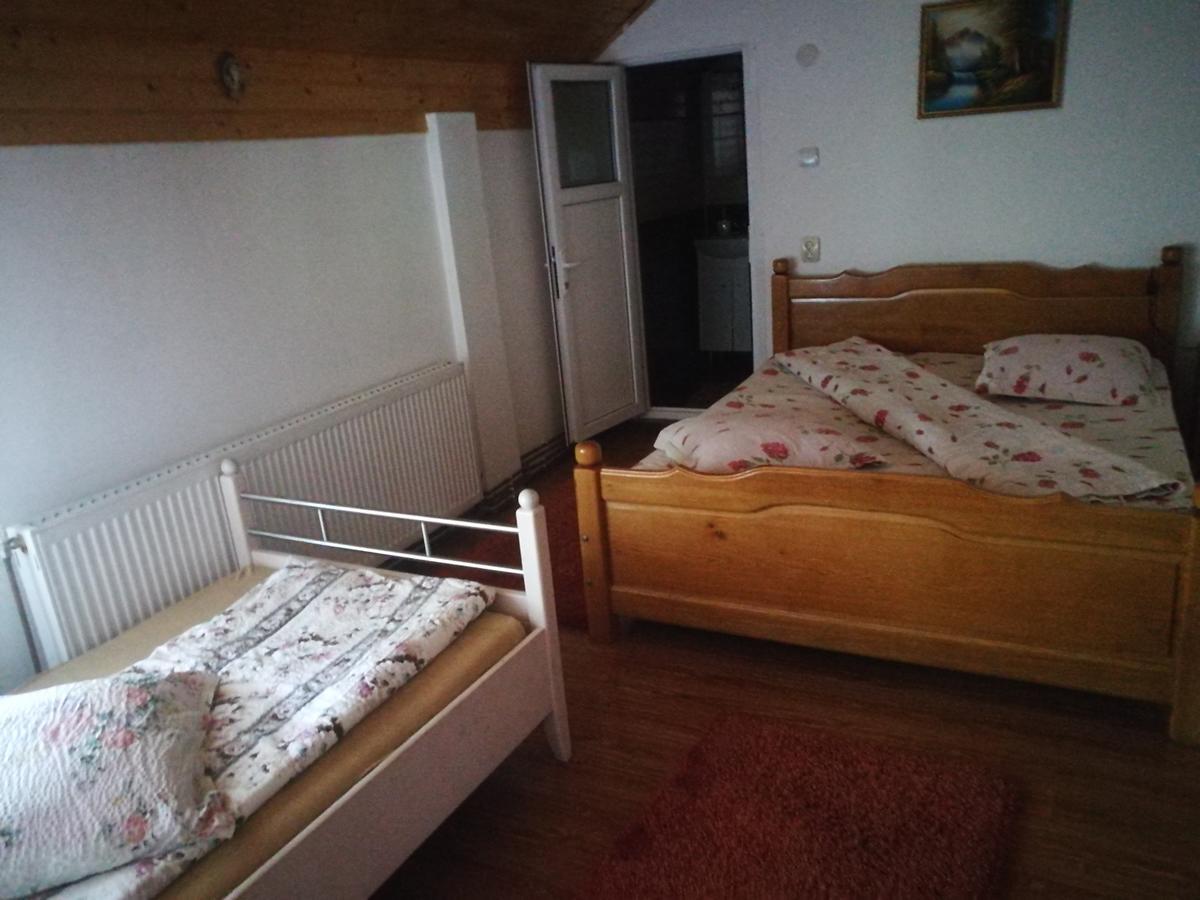 Pensiunea Remus Hotel Novaci-Străini Eksteriør billede