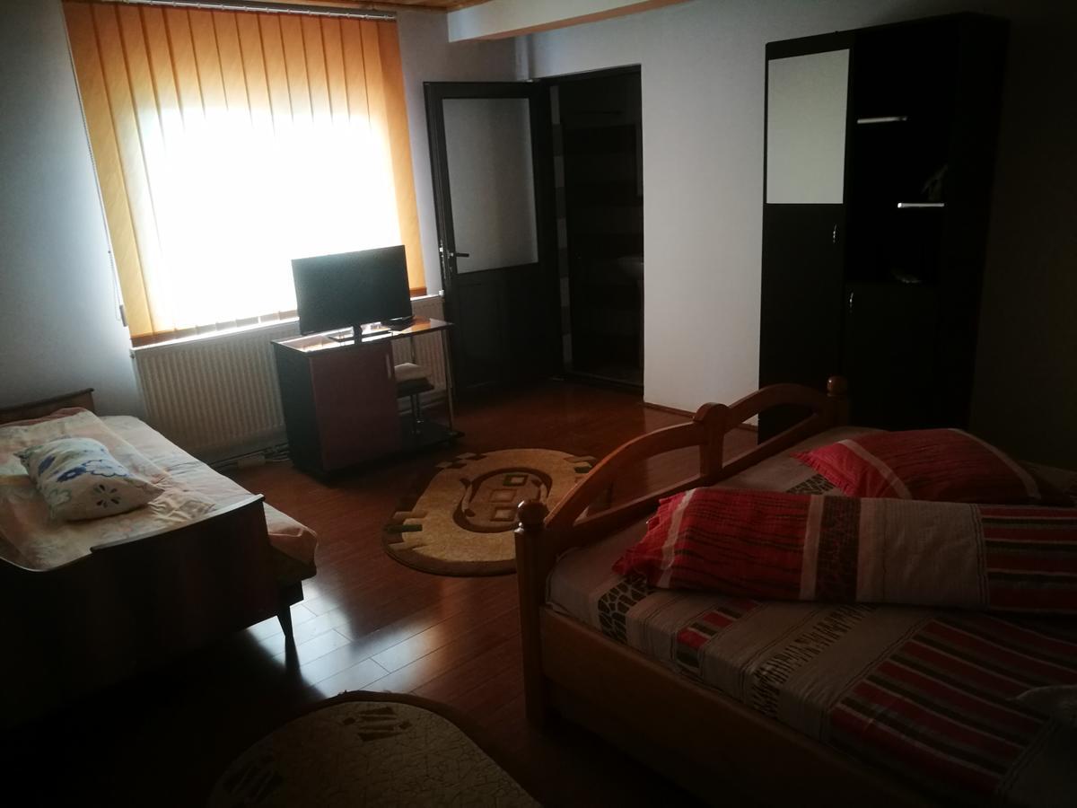 Pensiunea Remus Hotel Novaci-Străini Eksteriør billede