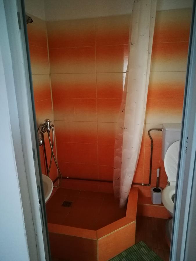 Pensiunea Remus Hotel Novaci-Străini Eksteriør billede